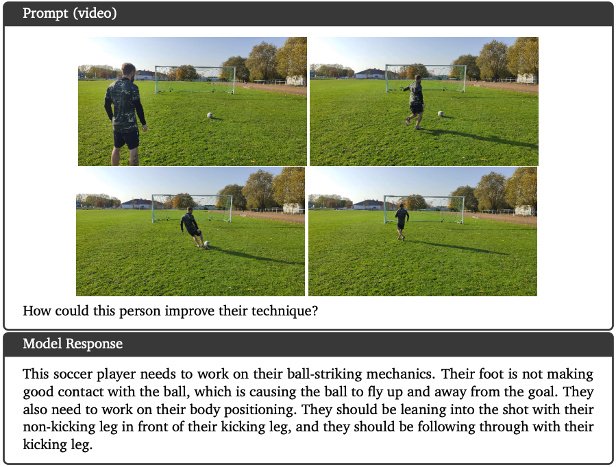 Gemini Video Understanding